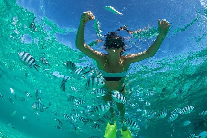 Catamaran to Ile aux Cerf with Parasailing, Tube Riding & Lunch - Grand River South East and its short waterfall visit