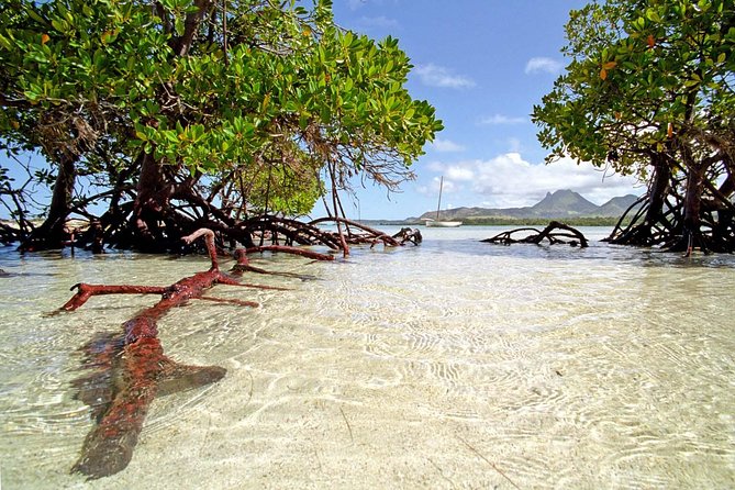 Catamaran to Ile aux Cerf with Parasailing, Tube Riding & Lunch - Sailing the east coast lagoon
