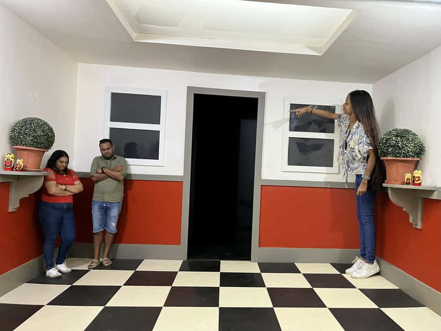 Chamarel: Curious Mauritius Entry Ticket - Finding your way through the Mirror Maze