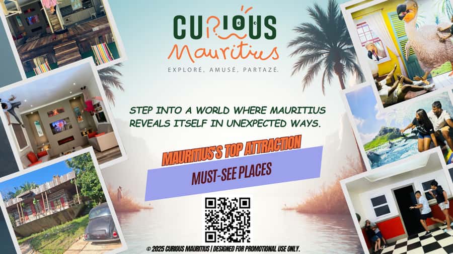 Chamarel: Curious Mauritius Entry Ticket - Slowing down at Puzzles and Things