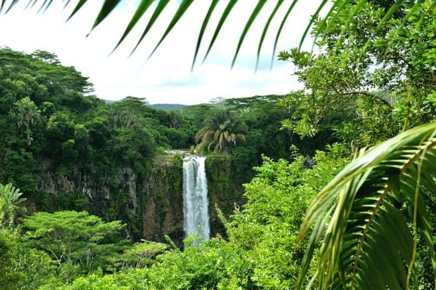 Chamarel: Southwest Mauritius Private Guided Day Tour - Key points to know before booking