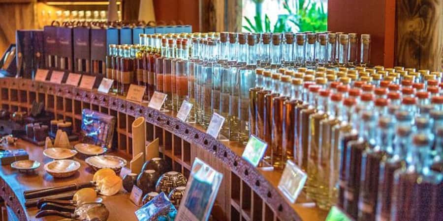 Chamarel: Southwest Mauritius Private Guided Day Tour - Tea leaves and the working side of the island