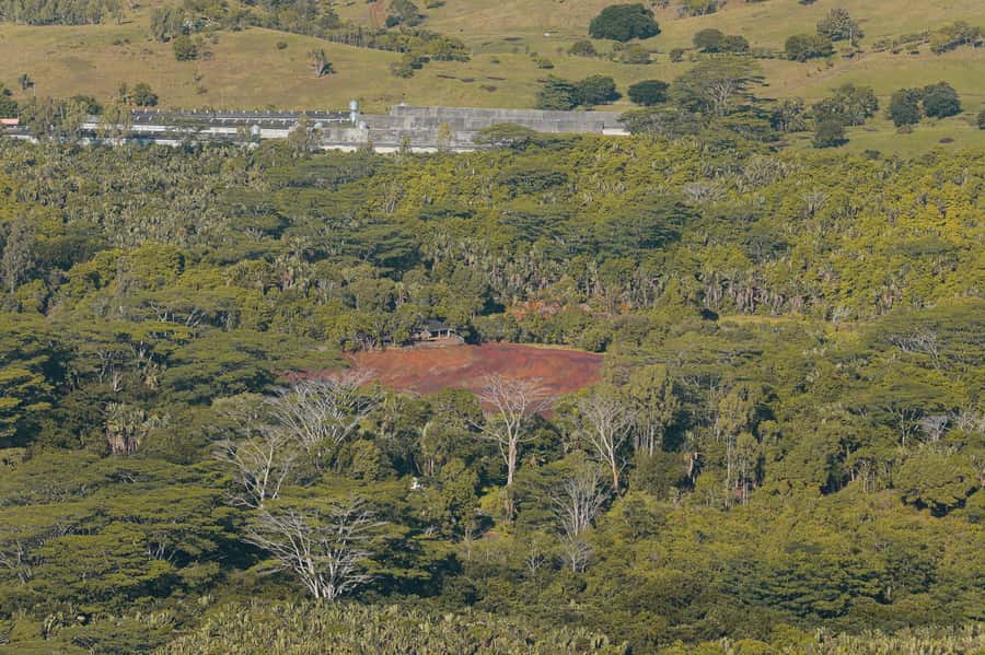 Chamarel: Sunset Mountain Hike - Reaching the summit before the colors change