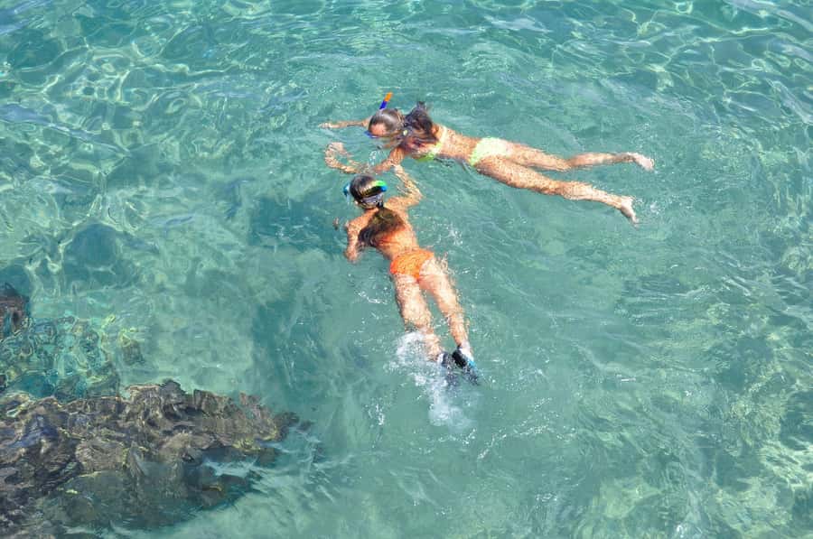 Coin de Mire 2-Hour Private Snorkeling Trip - A close look at the two-hour itinerary
