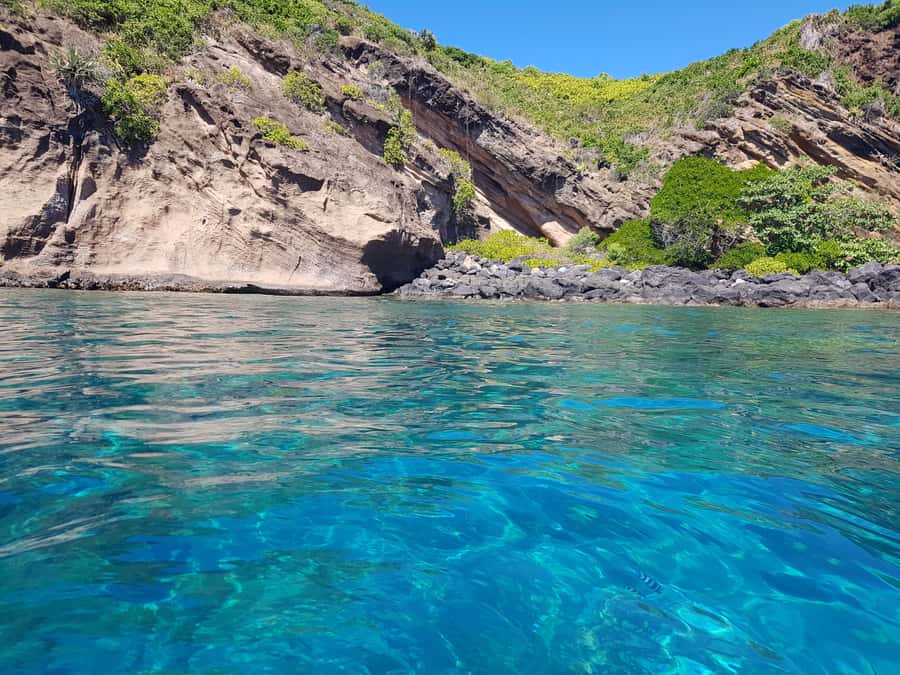 Coin de Mire 2-Hour Private Snorkeling Trip - Is $412 good value for your group?