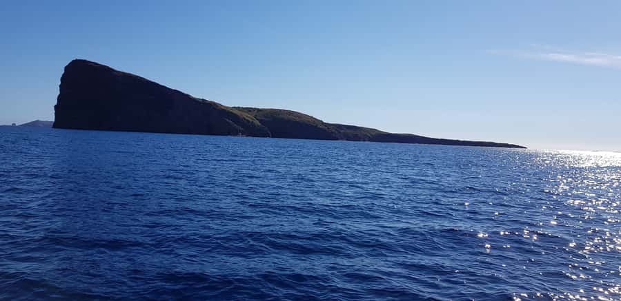 Coin de Mire 2-Hour Private Snorkeling Trip - What the ratings tell you about the experience