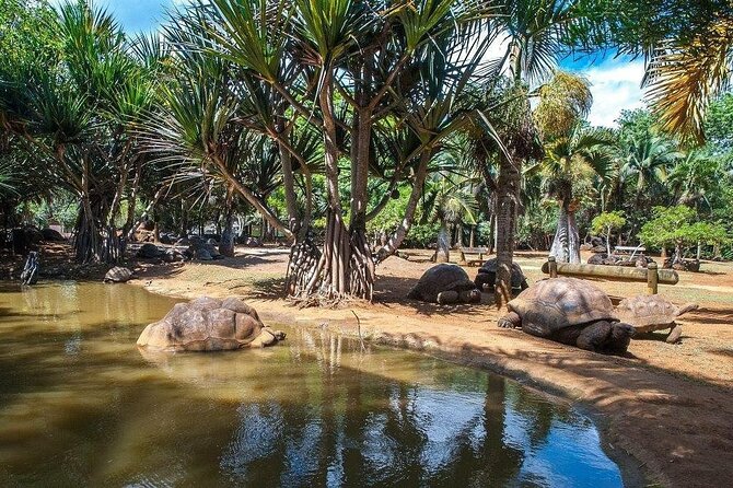 Crocodile Nature Park - La Vanille Nature Park: the main event