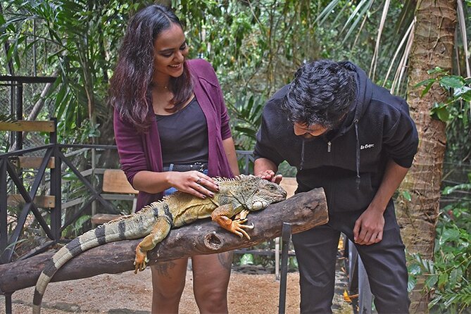 Crocodile Nature Park - Chamarel lunch: good local flavor, separate cost