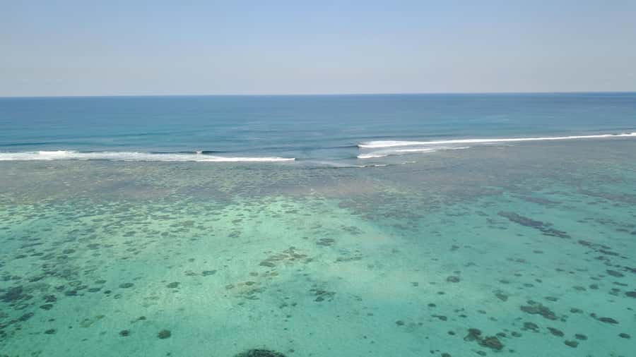 Day Trip at Ile aux Cerfs and other Gems of the South. - Key points to know before booking