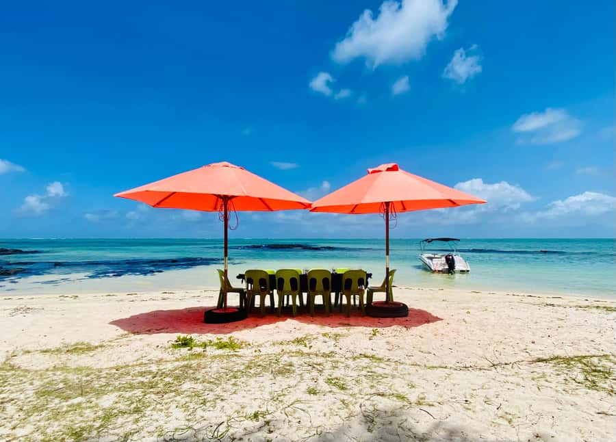 Day Trip at Ile aux Cerfs and other Gems of the South. - FAQ