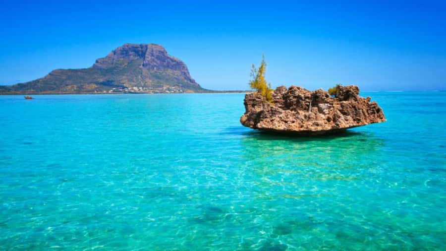 Discover Mauritius: Dolphin Watch, Snorkeling, BBQ Lunch - Key points to know before booking