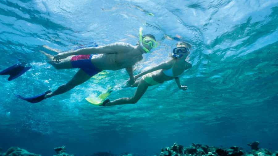 Discover Mauritius: Dolphin Watch, Snorkeling, BBQ Lunch - What this Mauritius boat day is really like