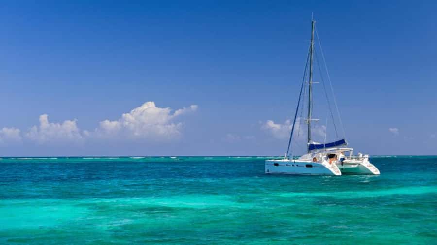Discover Mauritius: Dolphin Watch, Snorkeling, BBQ Lunch - The early pickup and shared transport