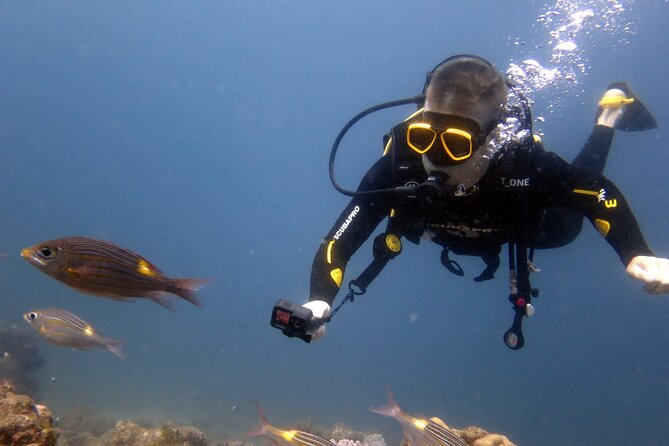 Discover Scuba Diving Experience - Practice in a pool or lagoon before the sea