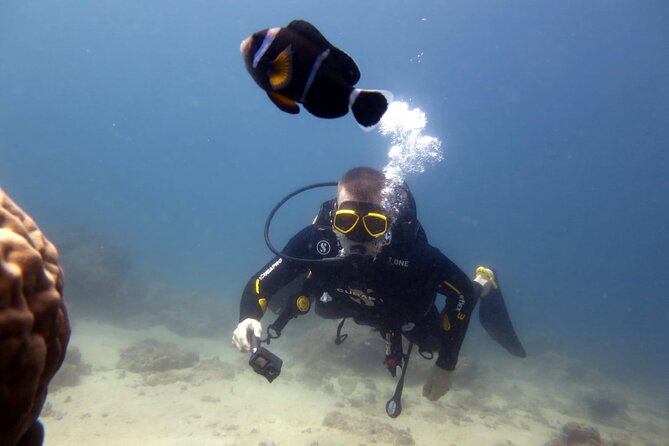 Discover Scuba Diving Experience - Who will enjoy this most