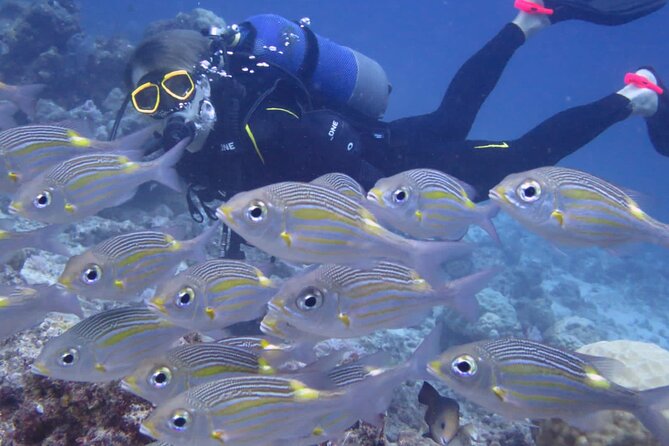 Discover Scuba Diving Experience- Bel Ombre - Starting at Bel Ombre with the paperwork