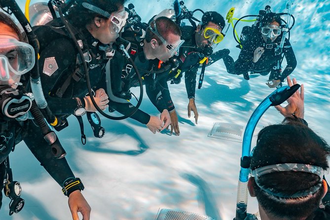 Discover Scuba Diving Experience - Starting with the briefing and equipment