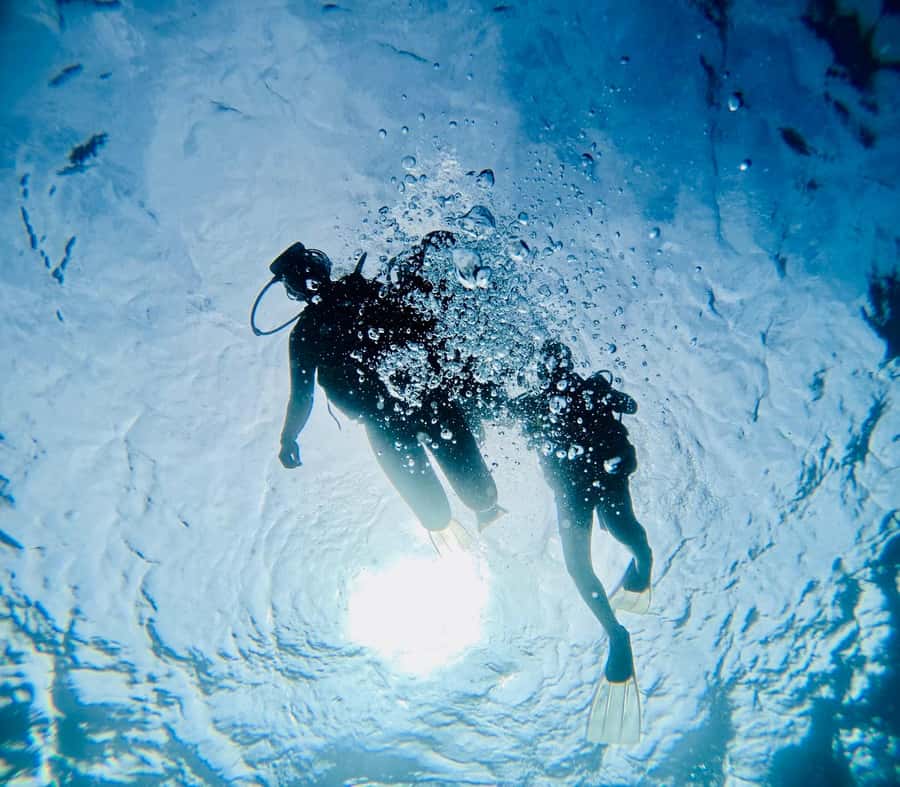 DISCOVER SCUBA DIVING IN LEMORNE with EasydiveMauritius - What to bring and what to skip