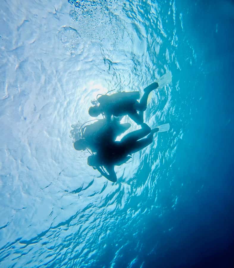 DISCOVER SCUBA DIVING IN LEMORNE with EasydiveMauritius - The safety setup for a first attempt