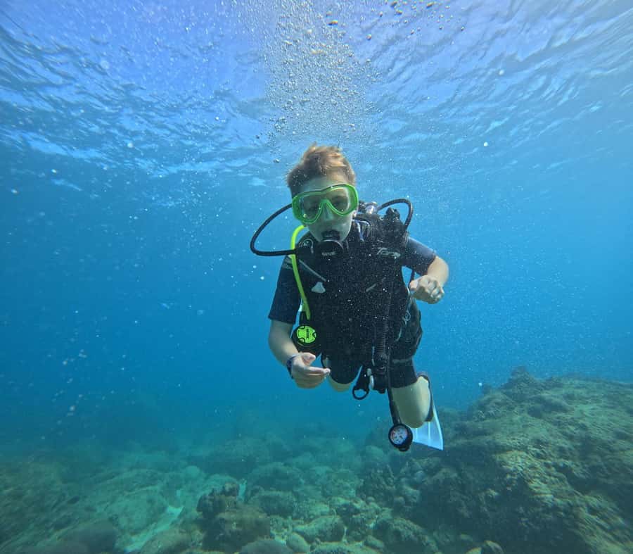 DISCOVER SCUBA DIVING IN LEMORNE with EasydiveMauritius - Booking flexibility and practical timing
