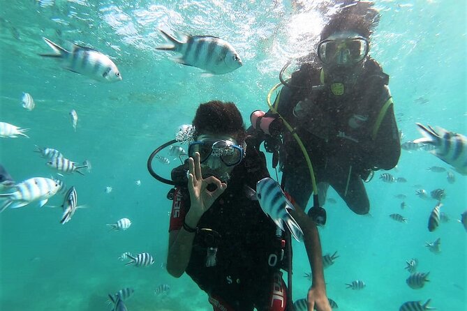 Discover Scuba Diving in Mauritius - Key points to know before booking