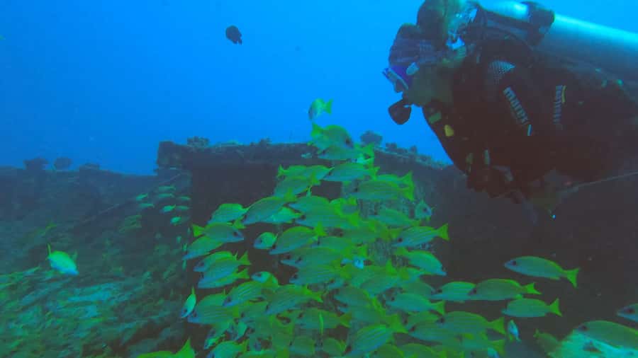 Discover Scuba Diving in the North of Mauritius - Plan around your flight