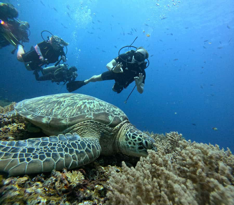 Discover Scuba Diving in the North of Mauritius - The first lesson: equipment, breathing, and hand signals