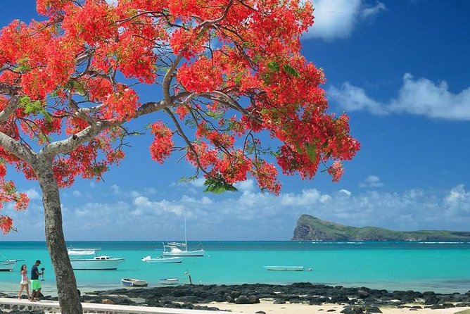 Discovering the North of Mauritius: Full-day incl Botanical garden & lunch - Why this northern Mauritius tour is worth considering