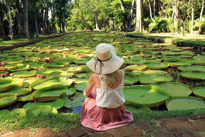 Discovering the North of Mauritius: Full-day incl Botanical garden & lunch - Le Caudan Waterfront and the craft market