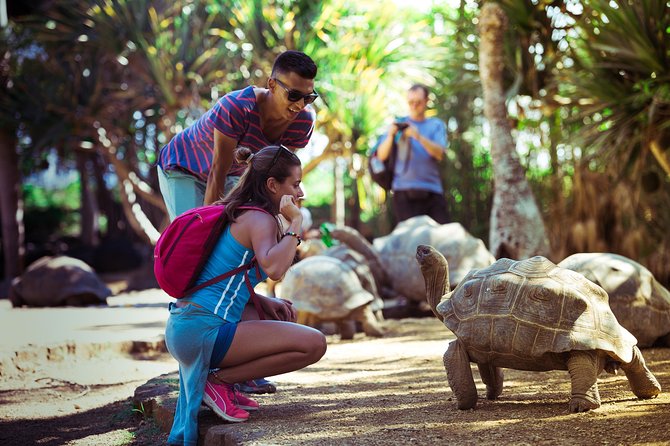 Discovery Tour 35km - La Vanille Nature Park, lunch, and a slower hour