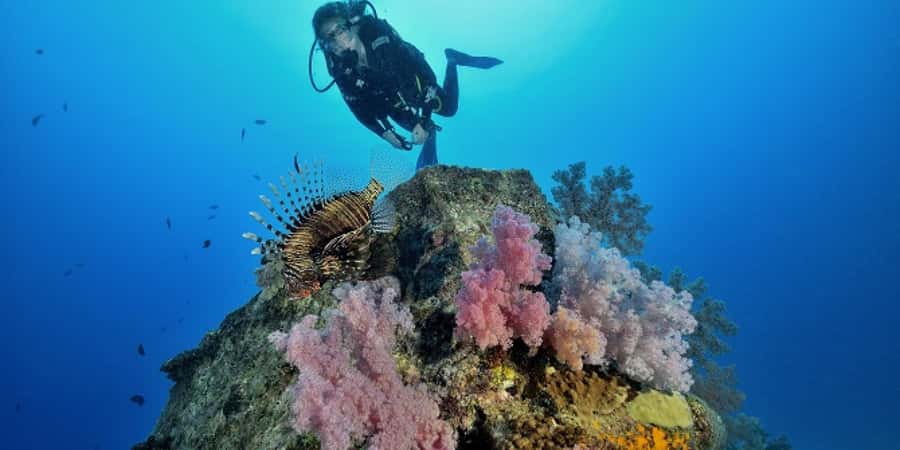 Diving in the North with Blue World Adventures - Your first open-water session in the north