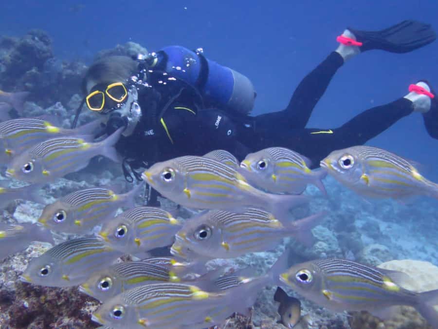 Diving in the North with Blue World Adventures - Is $159 a fair price?