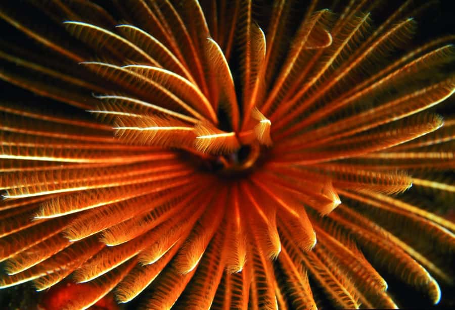 Diving in the North with Blue World Adventures - The first lesson: safety before scenery
