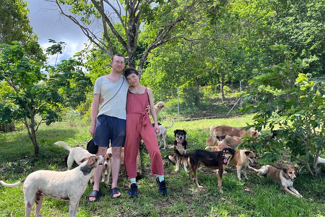 Dog Lover's guided tour of the Happy Tails Sanctuary - Meeting 130 Rescue Dogs In Baie Du Cap
