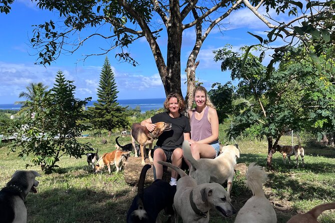 Dog Lover's guided tour of the Happy Tails Sanctuary - Why The Sanctuary’s Work Matters