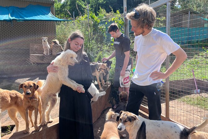 Dog Lover's guided tour of the Happy Tails Sanctuary - What The Two Hours Actually Feel Like