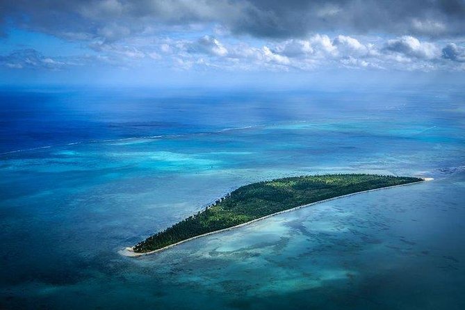 Dolphin Encounters, Ile aux Benitier & Crystal rock: Full-Day (Lunch & Transfer) - From your hotel to the west coast