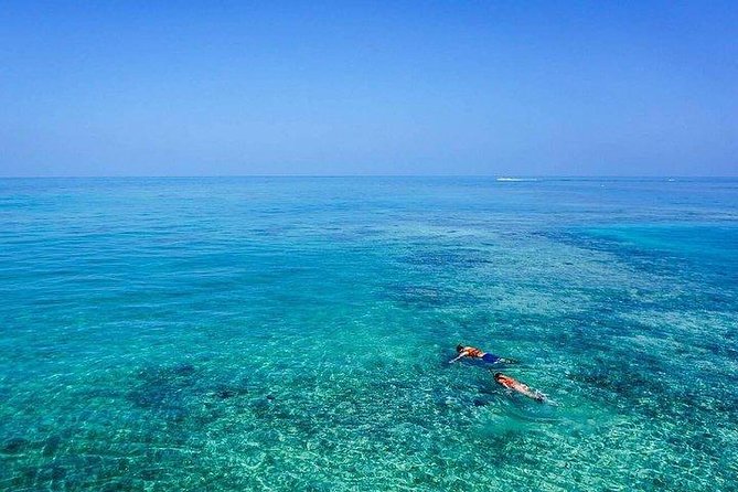 Dolphin Encounters, Ile aux Benitier & Crystal rock: Full-Day (Lunch & Transfer) - Should you book it?