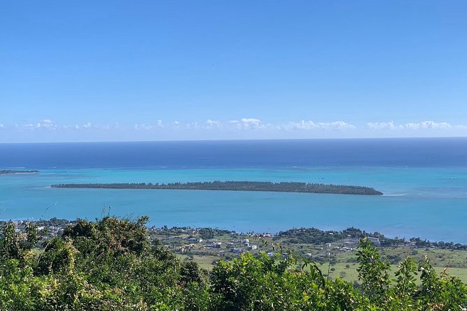 Dolphin Experience in Open Sea and South West Tour of Mauritius including Lunch - What the guides add to the day