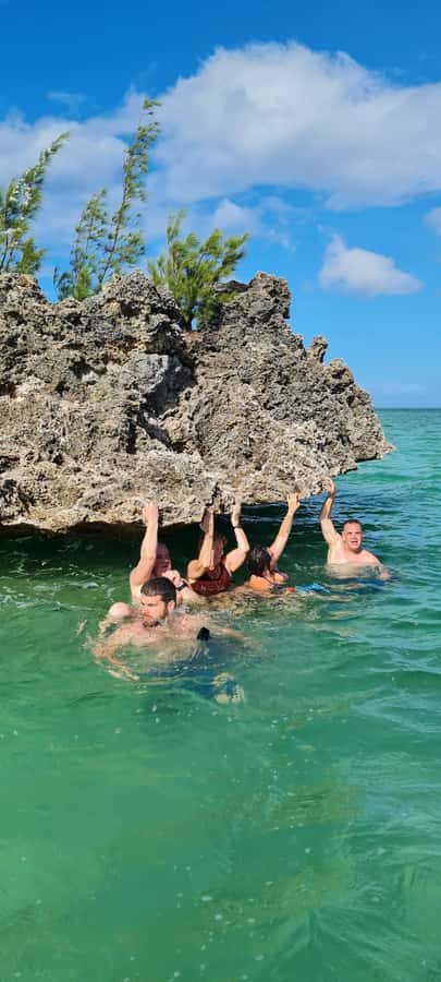 Dolphins: Private, Snorkel, CrystalRock, ileoBenitiers,lunch - The Tamarin dolphin stop
