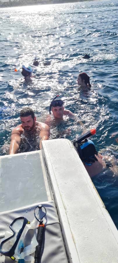 Dolphins: Private, Snorkel, CrystalRock, ileoBenitiers,lunch - Getting to the correct beach at the right time