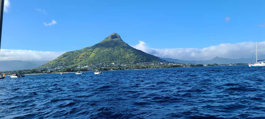 Dolphins & Whales, Private Tour Snorkeling - Crystal Rock and the Natural Aquarium