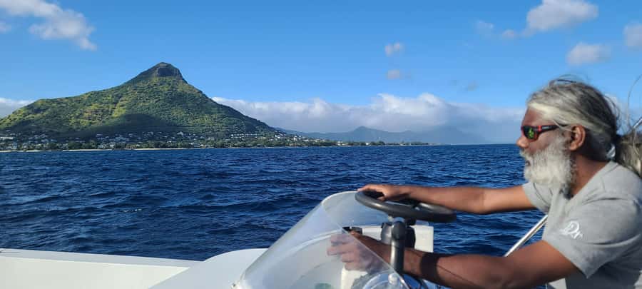 Dolphins & Whales, Private Tour Snorkeling - What the Private Format Is Worth