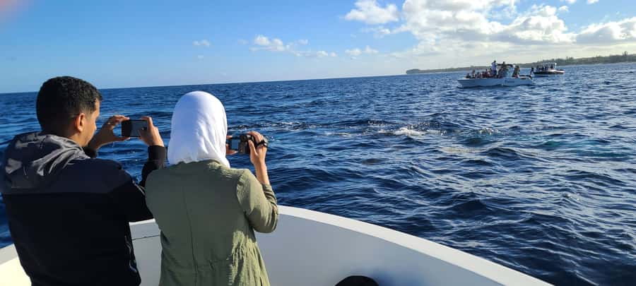 Dolphins & Whales, Private Tour Snorkeling - The Guides Make a Real Difference