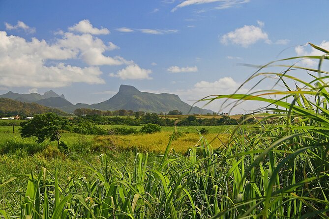 East of Mauritius: Full Day Scenic Tour with Lunch & Glass Bottom - Beau Vallon and Bazarre show the practical side of Mauritius