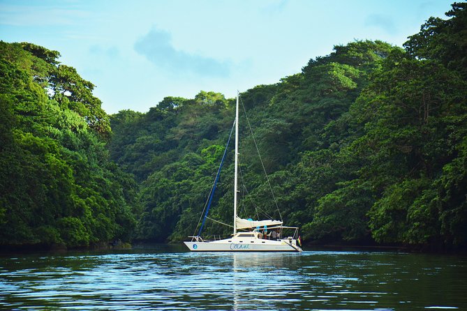 EAST Shared Cruise : OCÉANE Full day catamaran to Ile aux Cerfs - Why this east-coast cruise works so well
