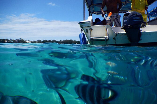 Eastern Treasures of Mauritius: incl Rhumerie St Aubin & Blue-Bay Marine Park - A three-course lunch before the museum visits