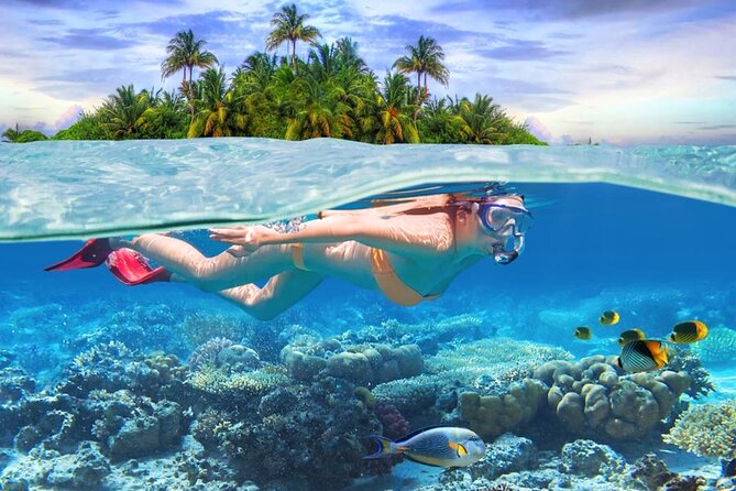 Eastern Treasures of Mauritius: incl Rhumerie St Aubin & Blue-Bay Marine Park - Frederick Hendrick Museum and Old Grand Port