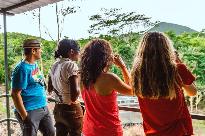 Ebony Forest Reserve Chamarel: Endemic Birdwatching Guided Tour - Key points to know before booking