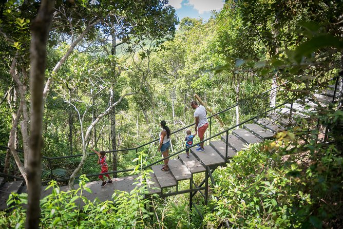 Ebony Forest Reserve Chamarel - Take a Hike Tour - The open-air jeep ride saves energy for the views